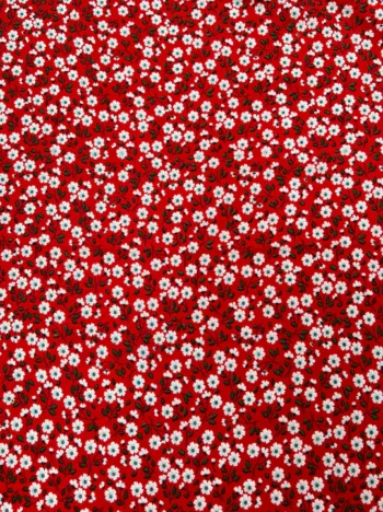 Printed Polyester Print - P-C-385